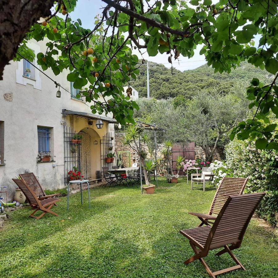 Casa Olivia Lacrema Finale Ligure Dış mekan fotoğraf