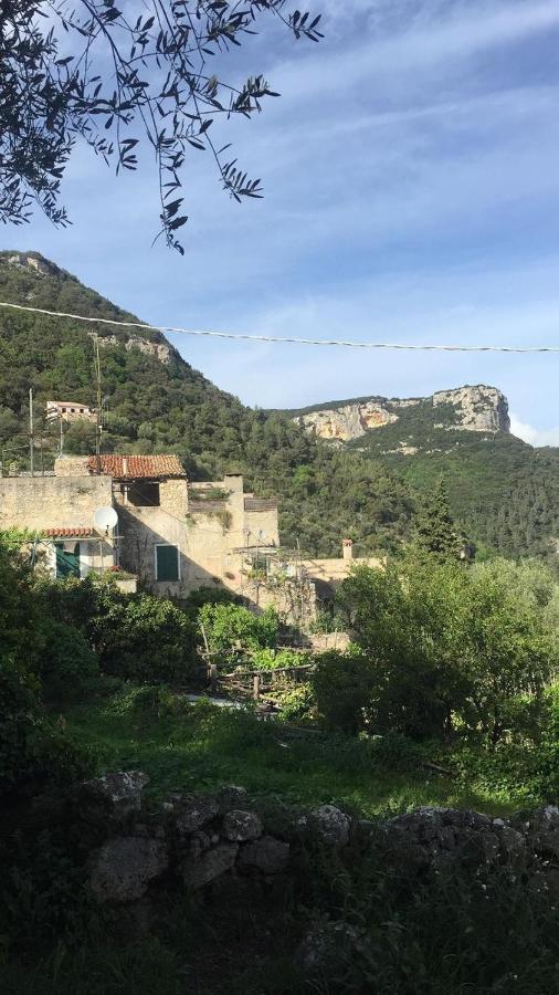 Casa Olivia Lacrema Finale Ligure Dış mekan fotoğraf